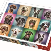 10462-1-1_1552506261