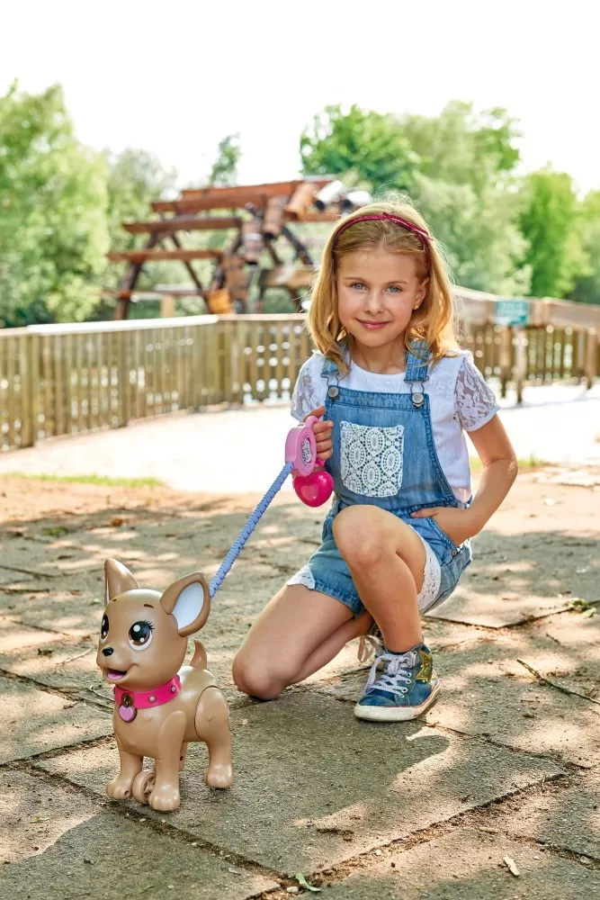 105893264-5-5_1566284407