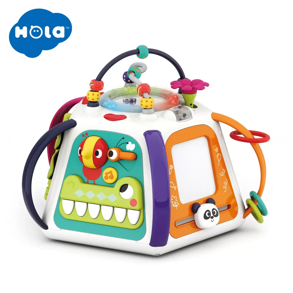 3153-6-6_1604392806-1