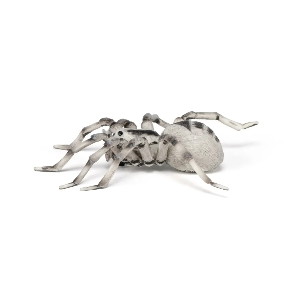 Papo50190-6-6_1664365335