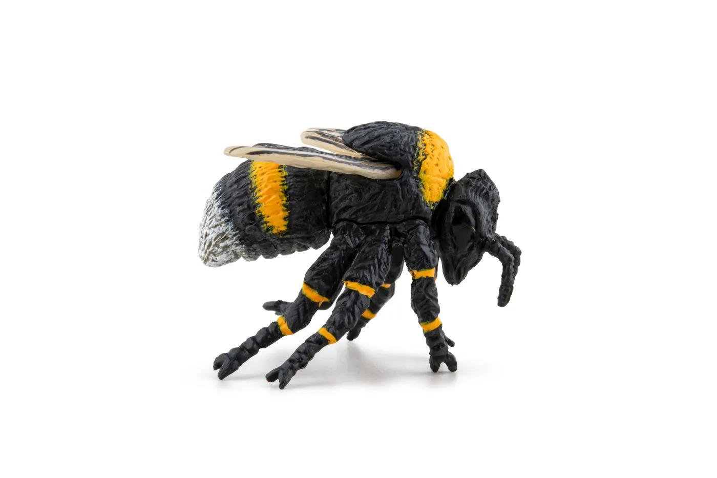 Papo50291-3-PAPO50291_4