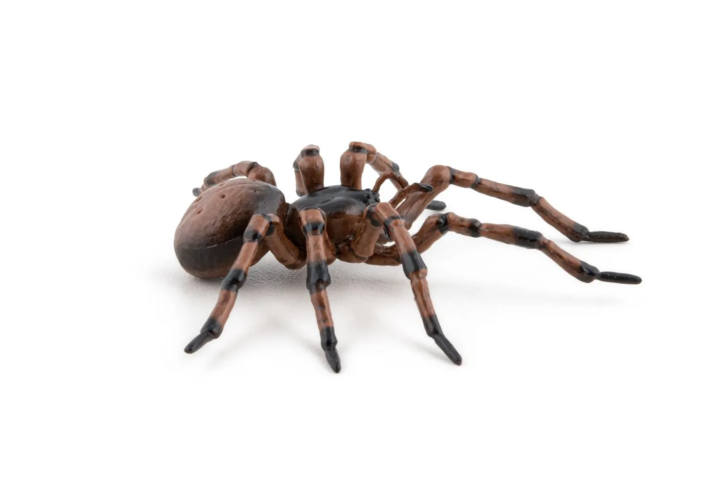 Papo50292-4-PAPO50292_5