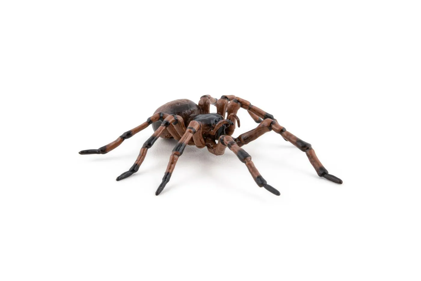 Papo50292-5-PAPO50292_6