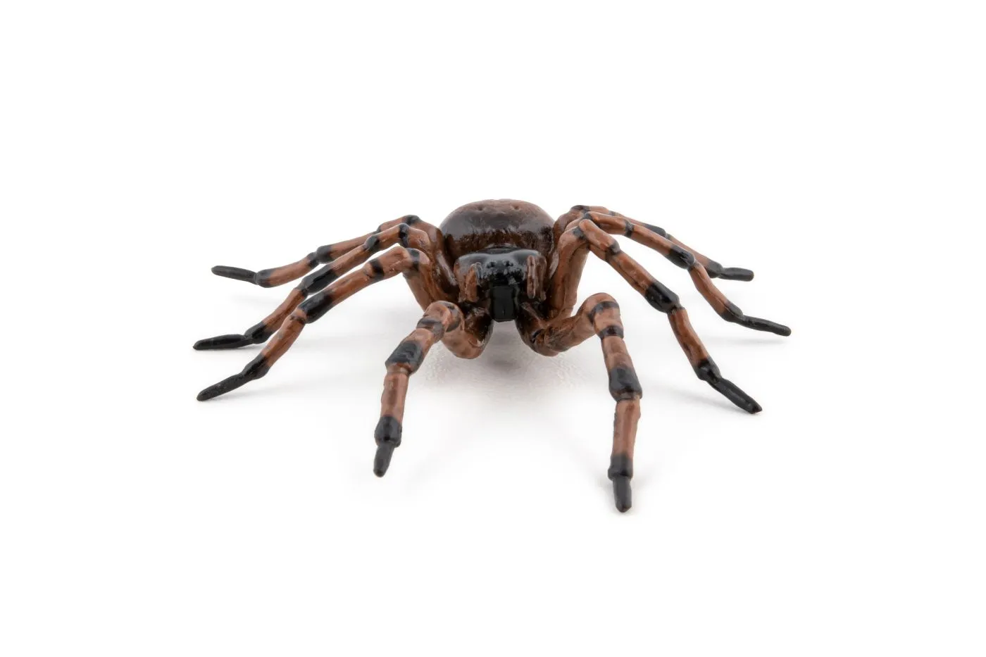 Papo50292-6-PAPO50292_7