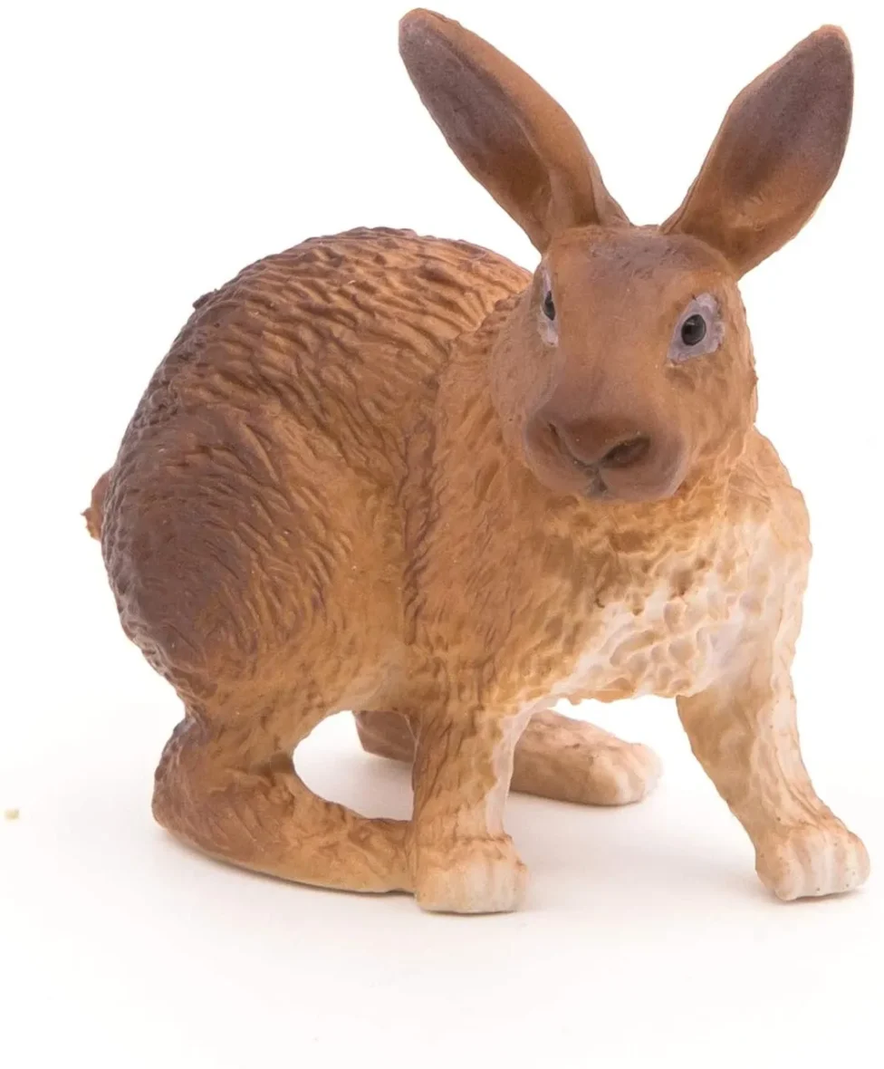 Papo51049-2-3_1643959760