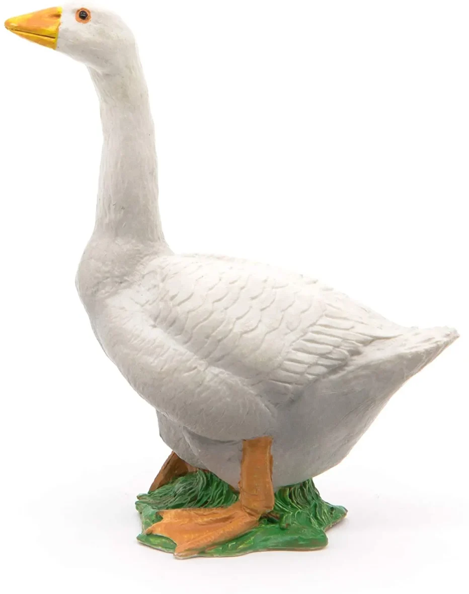 Papo51061-4-4_1643901343