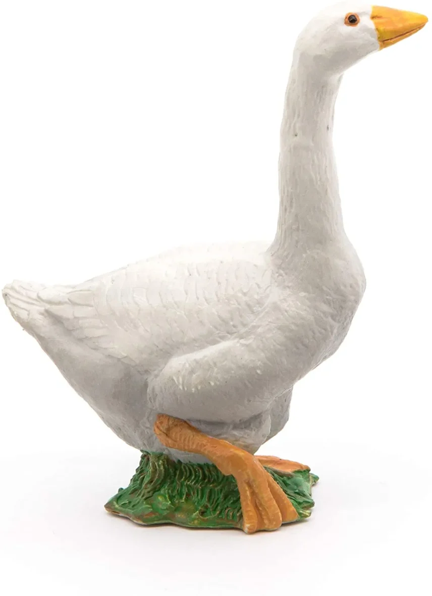 Papo51061-5-5_1643901343