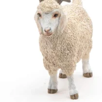 Papo51170-1-2_1643960036