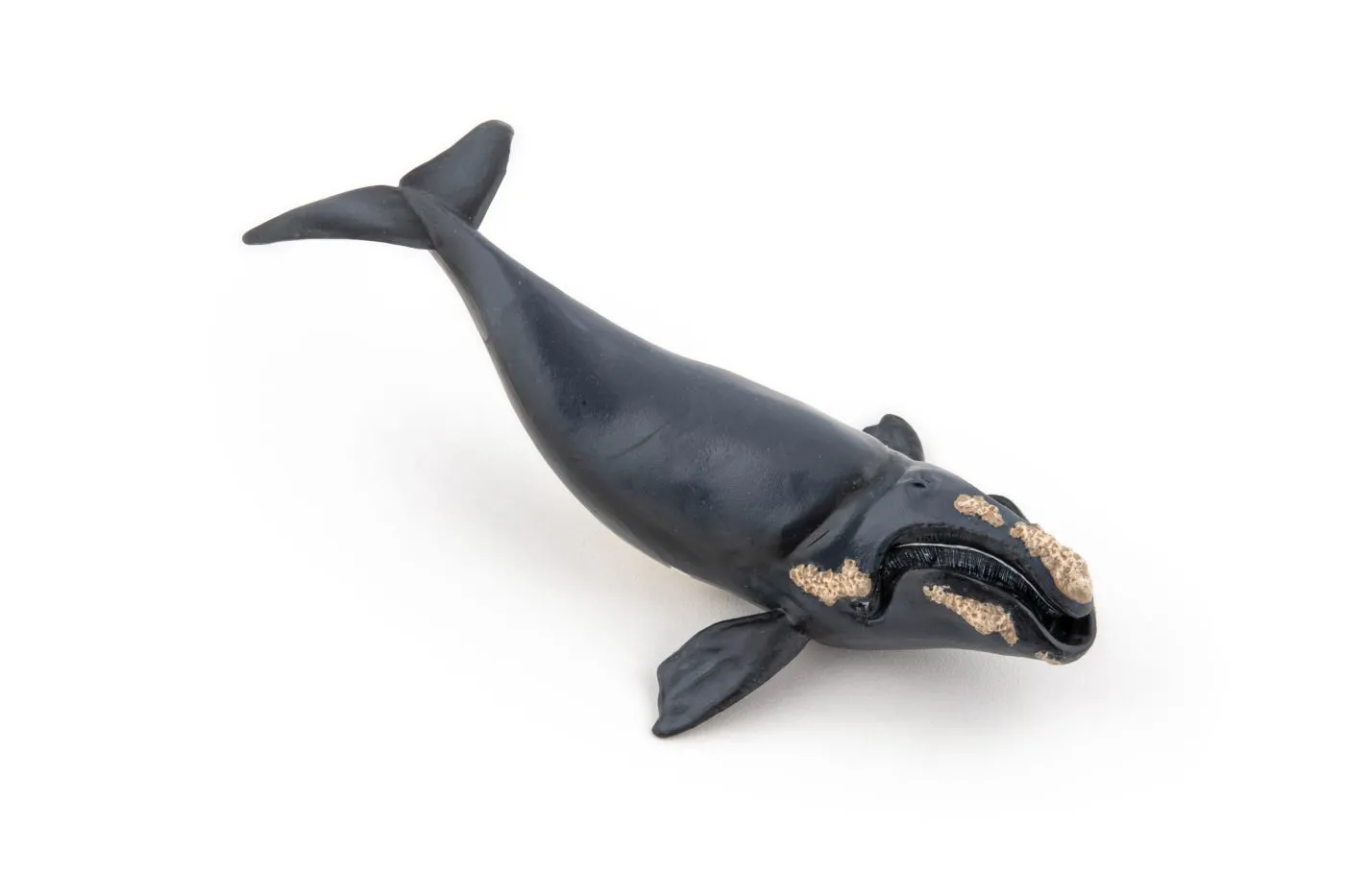 Papo56057-2-PAPO56057_2