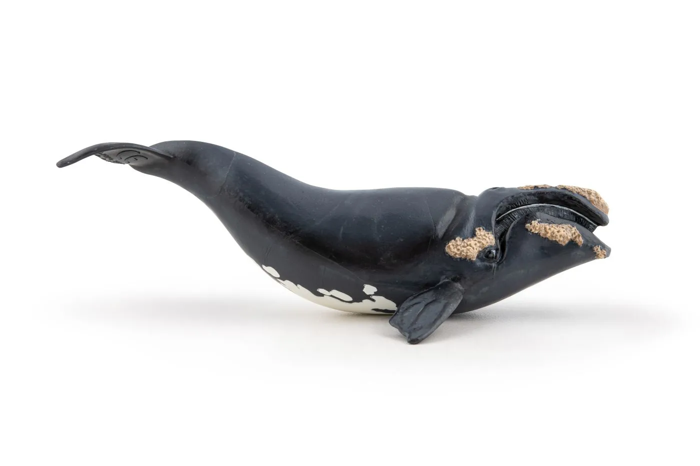 Papo56057-3-PAPO56057_3