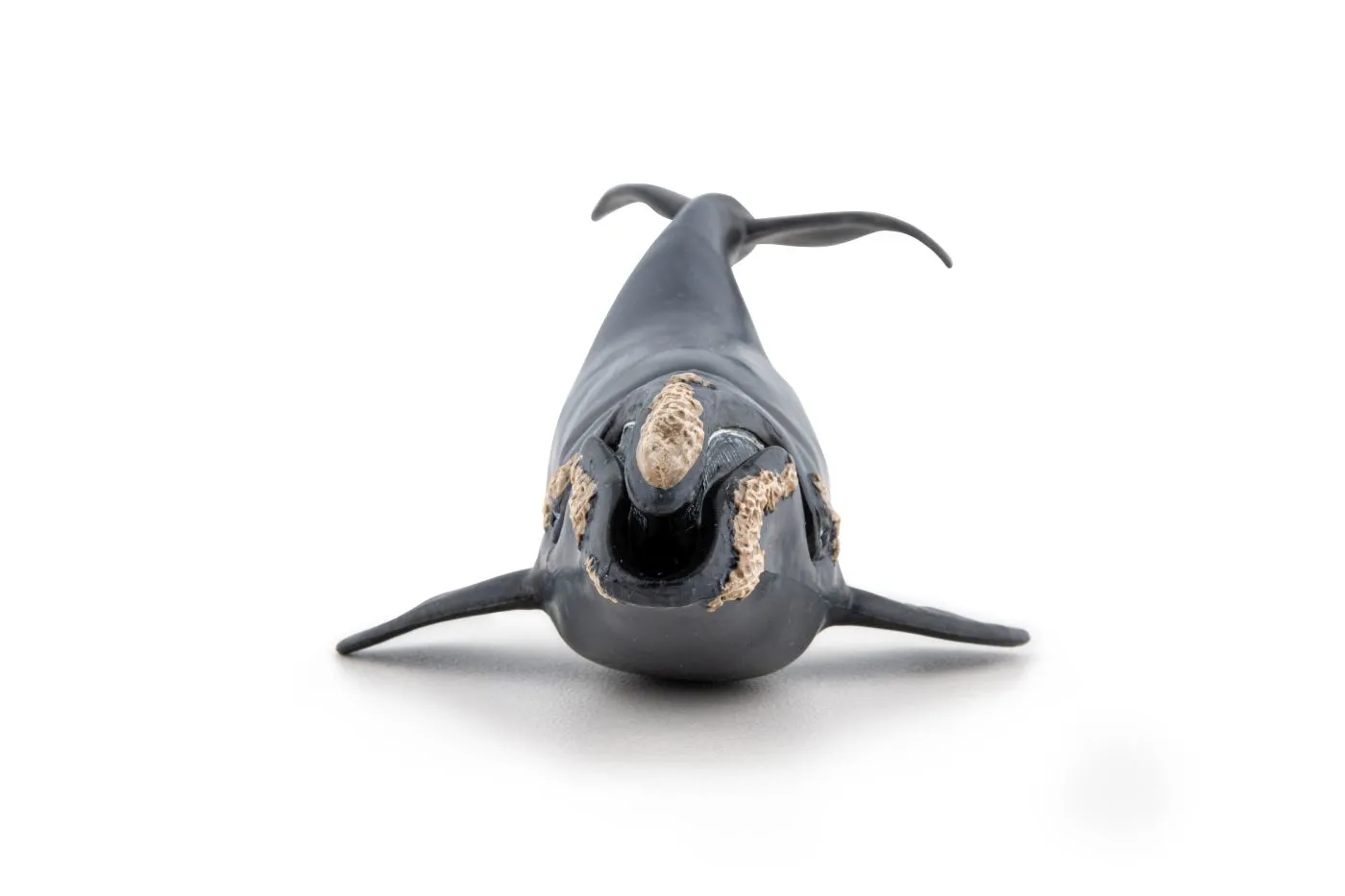 Papo56057-5-PAPO56057_5