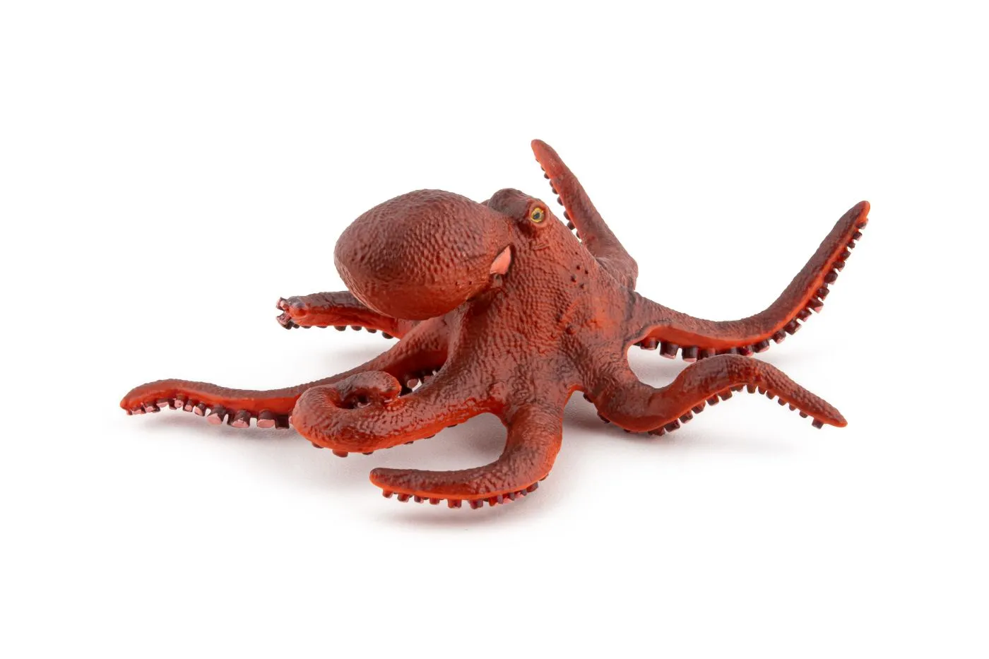 Papo56060-3-PAPO56060_4