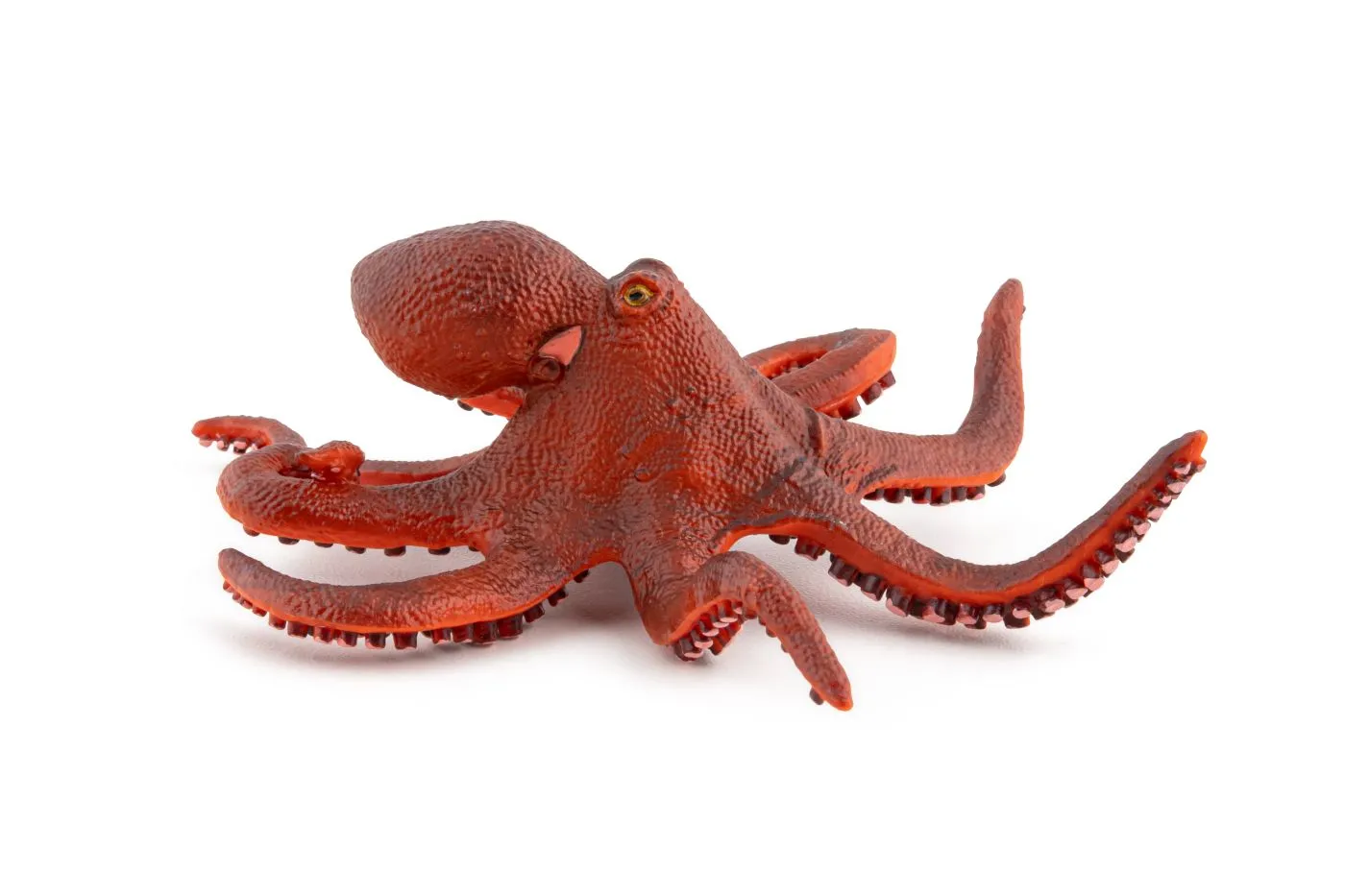 Papo56060-4-PAPO56060_5