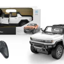 Ras93000_Alb-1-1_RAS93000_ALB