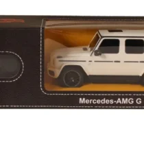 Ras95800_Alb-1-Ras95800_Alb_1