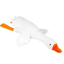 Stip1011-1-1_STIP1011