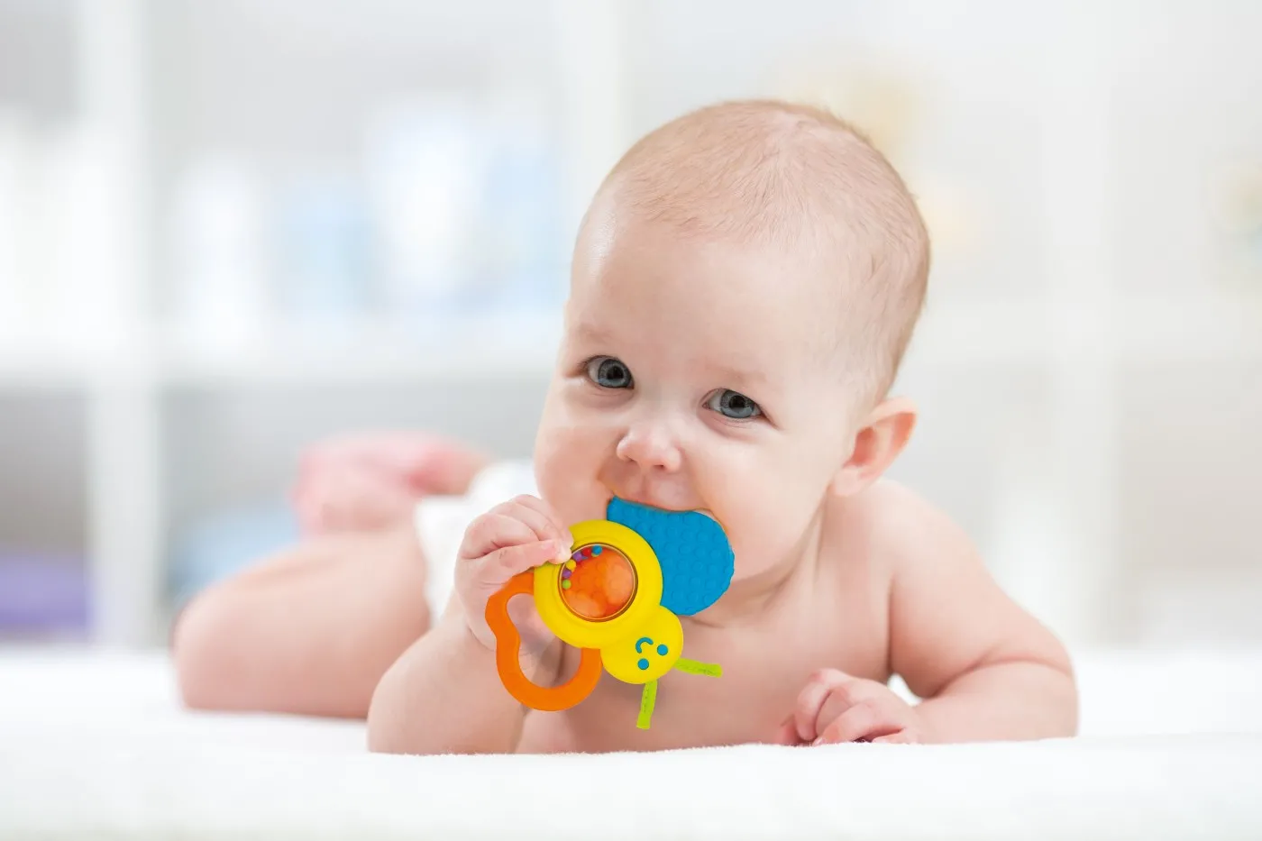 Win003207-3-WIN003207_3